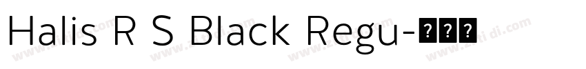 Halis R S Black Regu字体转换
